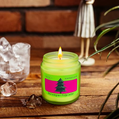 12 Pack Candles, Natural Soy Wax, 6 Scents Frosted Jar Aromatherapy
