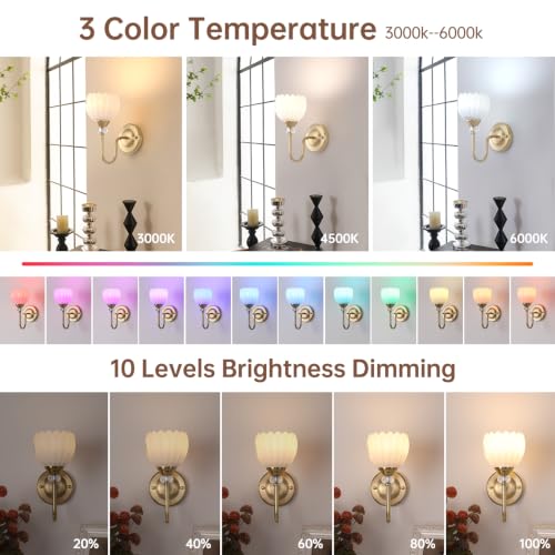 Battery Operated Wall Sconce Set of 2 - Dimmable Tulip Shade with Remote Control