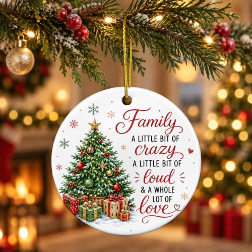 Funny Family Christmas Ornaments Gifts for Mom Dad Sister Brother