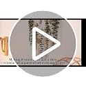 Artificial Eucalyptus Wall Decor – Faux Greenery Plants for Rustic Boho Bedroom Kitchen Bathroom