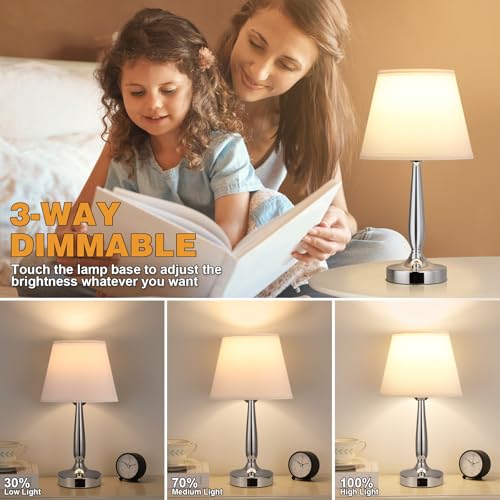 Kakanuo Silver Touch Bedside Table Lamp with USB & 3-Way Dimmable Light - White & Silver