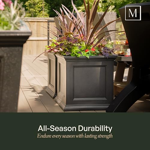 Self-Watering Square Planter 20in - Black Outdoor Garden Pot with Drainage