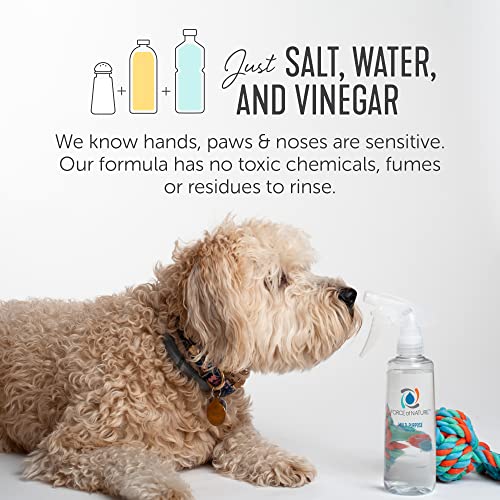 Force of Nature Disinfectant & Cleaner Starter Kit with 5 Refills - Eco-Friendly