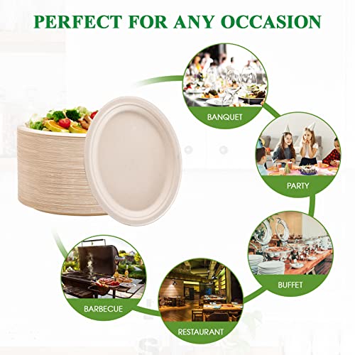 Vplus 12-Inch Compostable Oval Paper Plates - 120 Pack, Nature Variation