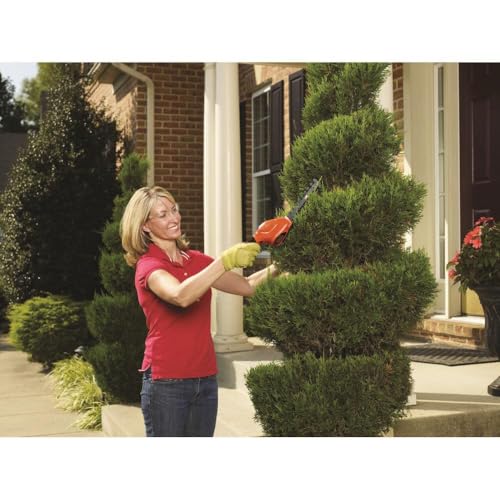 Cordless Shrub Trimmer and Grass Shear Combo - Orange, 3.6V
