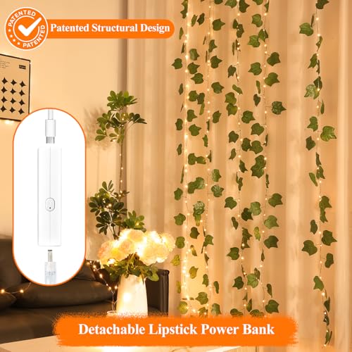 Lakumu LED Fairy Lights Battery Operated, Rechargeable Twinkle Lights with Timer, Mini LED String Lights for Bedroom, Christmas Decorations, Wedding, Centerpiece Table Decor (5M/16FT Warm White)