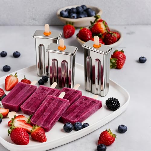 Stainless Steel Popsicle Mold Set with Sticks & Seals - 10 Pieces for Homemade Ice Pops