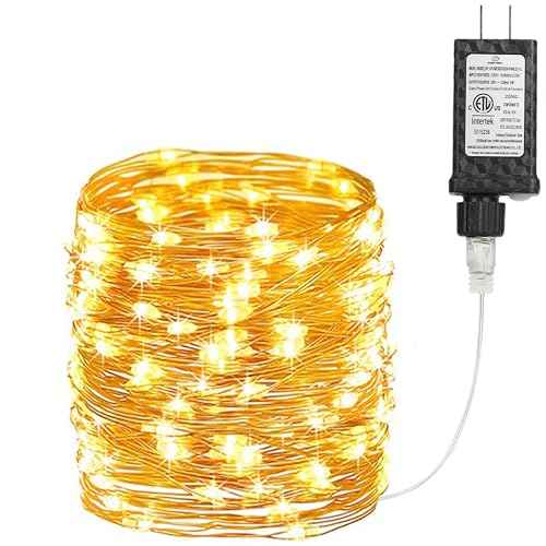 Joomer Fairy String Lights 33FT 100 LEDs Plug in Fairy Lights Indoor Copper Wire String Light DIY for Bedroom, Parties, Wedding, Christmas, Outdoor, Indoor Decoration (Warm White, Non-Connectable)