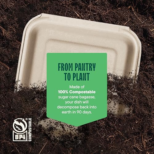 8x8 3-Compartment Compostable Food Containers - 100-Pack
