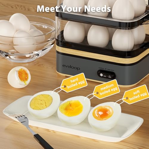 Evoloop Grey Electric Egg Cooker for 12 Eggs, Boiled, Poached & Omelet Maker