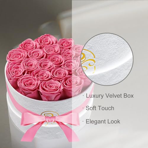 Flowers for Delivery, 20 Preserved Roses in Velvet Box, Gifts Women