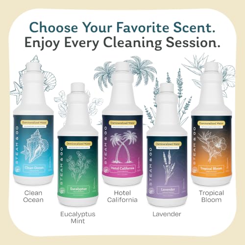 Steam & Go Demineralized Water for Steam Mops - Eucalyptus Mint 128 oz - Pack of 1