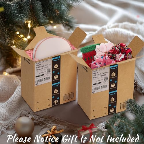 Cbloxtor 10 Pack Funny Christmas Mini Shipping Box Tree Ornaments