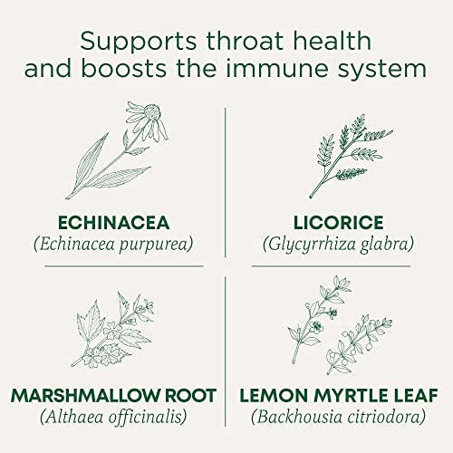 Traditional Medicinals Organic Throat Coat Lemon Echinacea Tea - 96 Bags (Pack of 6)