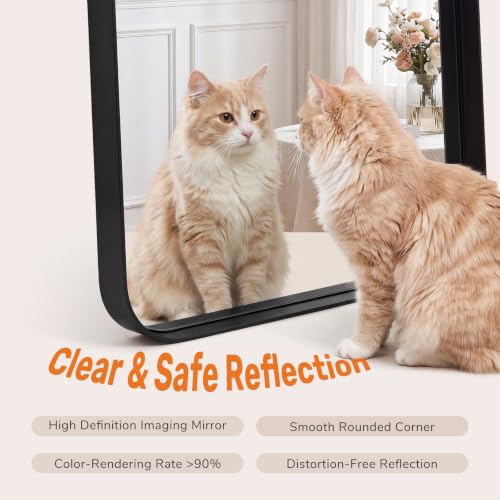 Sweetcrispy Black Bathroom Wall Mirror 40x30 Inch Over Sink Shatterproof