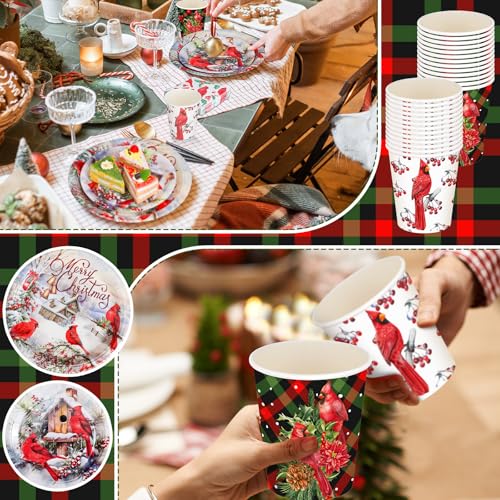 Christmas Disposable Dinnerware Set for 50 Guests with Plates Cups & Cutlery