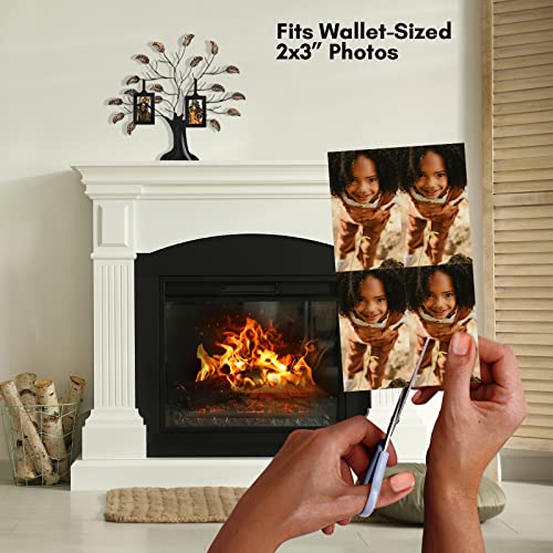 Americanflat Black Family Tree Picture Frame Set with 6 Photos & Bronze Leaves - Adjustable Ribbon Tassels, Mother's Day Gift