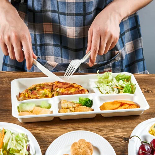 ECOLipak 12.5 x 8.6 Inch Compostable 5-Compartment Paper Plates 100 Pack