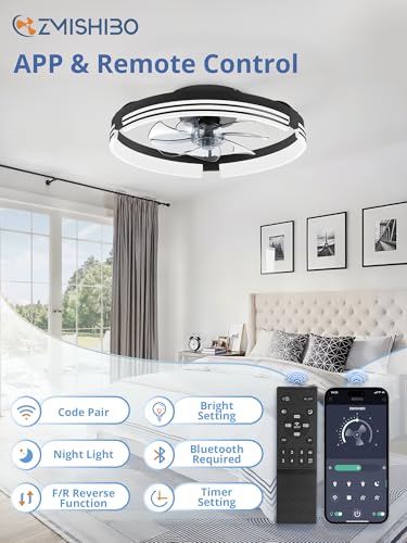 Black 20-Inch Low Profile Ceiling Fan with Lights & Remote Control
