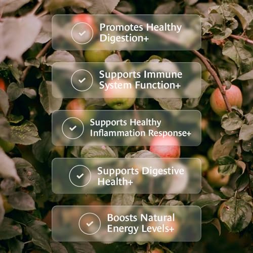 Healing Leaves, Longevity Blend Tea Bags- 30 Count