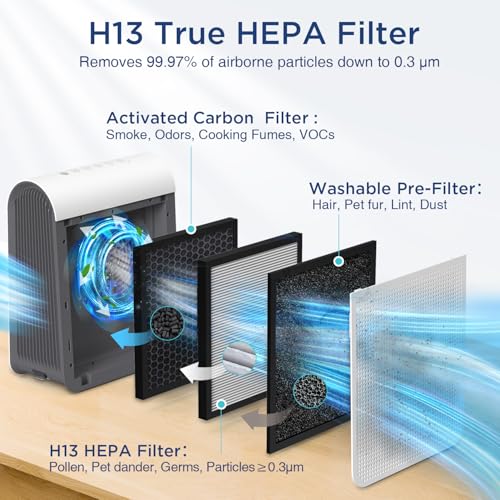 White DBFIT H13 HEPA Air Purifier for Large Rooms up to 2590 sq ft with PM2.5 Display