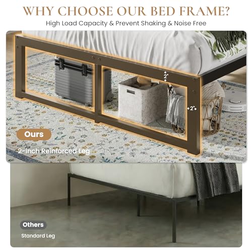 Black Queen Heavy Duty Metal Platform Bed Frame 14 Inch High