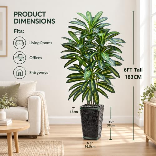 Artificial Dracaena Tree 6FT with Black Planter - Indoor Faux Plant, Realistic Tall Decorative Tree Variation of Green-Black Pot