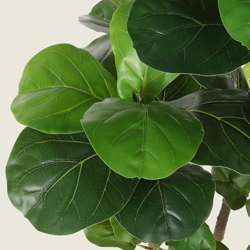 5ft Realead Artificial Fiddle Leaf Fig Tree with White Planter - Realistic Faux Plant