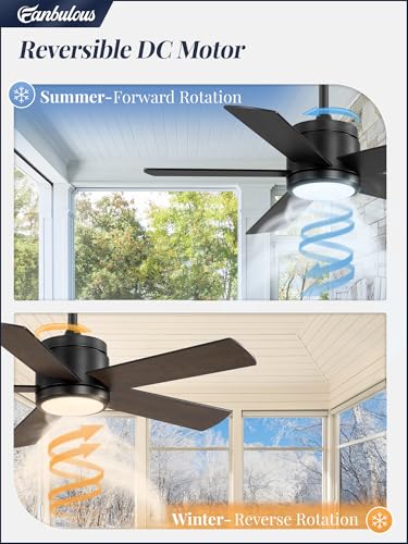 Black 42-Inch Outdoor Ceiling Fan with Light Waterproof IP65 & Remote