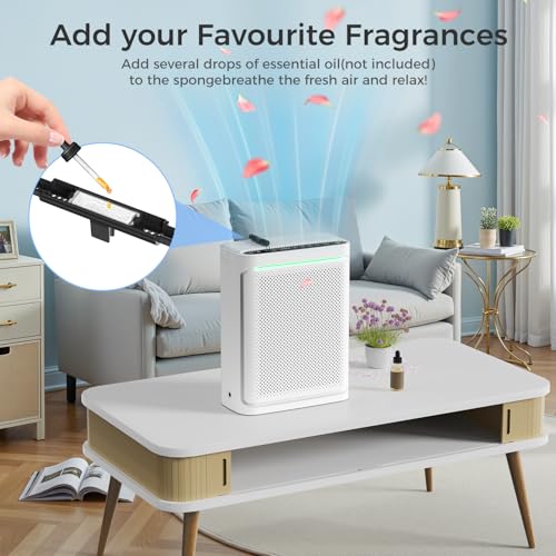 VOOPNU Air Purifier with H13 Filter & Air Quality Display, Auto & Sleep Mode