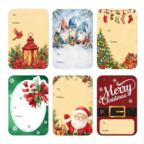 DreamBuilt 120 PCS Christmas Gift Tag Stickers with 12 Festive Designs - Holiday Labels for Wrapping & Crafts