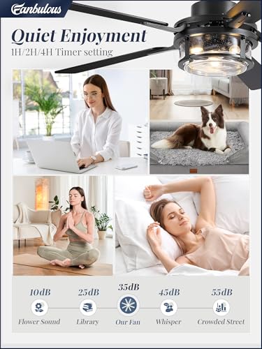 Fanbulous 52-Inch Farmhouse Ceiling Fan with Light & Remote - Black