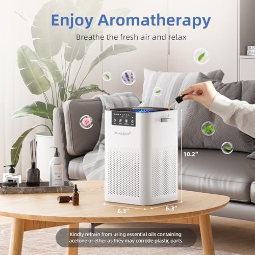 AromaRoom Air Purifier 2-Pack for Bedroom & Dorm, White & Black AP102