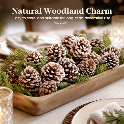 24 Pack Snow-Dusted Pine Cones for Holiday Decor, Christmas Ornaments & Crafts