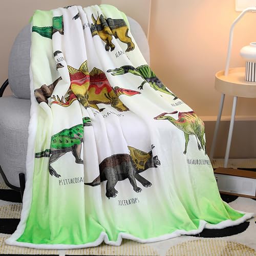 Dinosaur Blanket Dino Throw Blankets for Boys Soft Flannel Dinosaurs Gifts for Dinosaur Lover Kids Blankets and Throws (Dinosaur1,50" X 60")