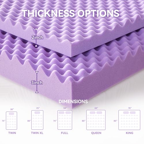 SINWEEK Queen Size 1.5 Inch Egg Crate Memory Foam Mattress Topper - Soft Bed Pad for Pain Relief
