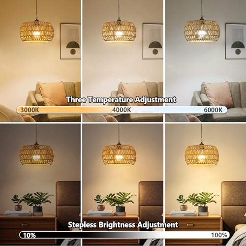 Eayaya Battery Operated Rattan Pendant Chandelier with Remote - 11.8” Outdoor & Indoor Boho Hanging Light, Model 1
