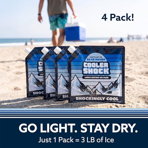 Reusable Ice Packs for Coolers - Add Water/Medium 4 Pack - Long Lasting Cold Freezer Packs for Camping, Fishing, Road Trips, Beach