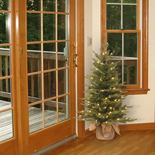 3ft Pre-Lit Nordic Spruce Mini Christmas Tree - Feel Real Artificial Holiday Tree