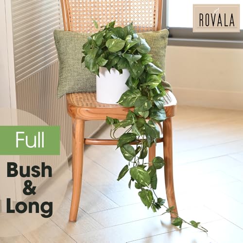 Artificial Potted Plant with Dark Green Faux Hanging Vine - Realistic Indoor Decor