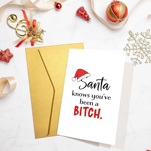Bitch Christmas Card for Her - Funny Snarky Card for Bestie Sister, Santa Knows You've Been A Bitch