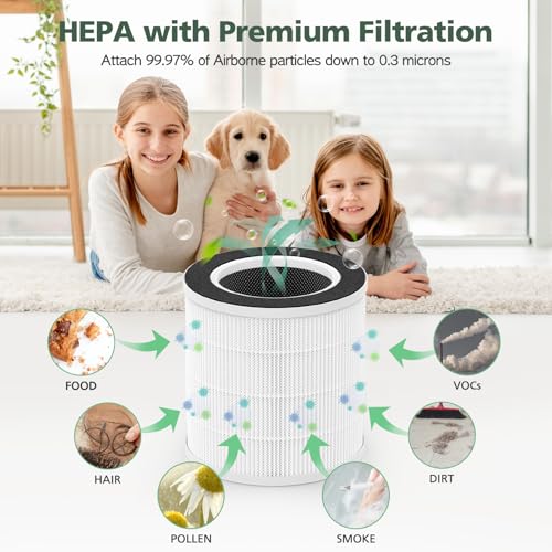 VK-6067B Air Purifier Filter Replacement for HOKEKI & Vremi - HEPA & Activated Carbon