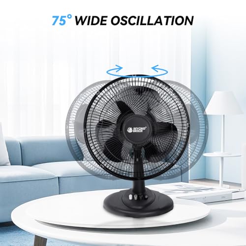 BEYOND BREEZE 12-Inch Black Oscillating Table Fan, 3 Speeds, Quiet & Portable