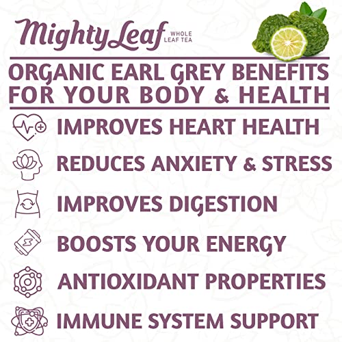 Mighty Leaf Organic Earl Grey Tea - 100 Whole Leaf Caffeinated Tea Bags