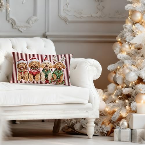 DAYOUER Christmas Goldendoodle Pillow Cover 12x20 Multicolor 01, 18x18 Accent