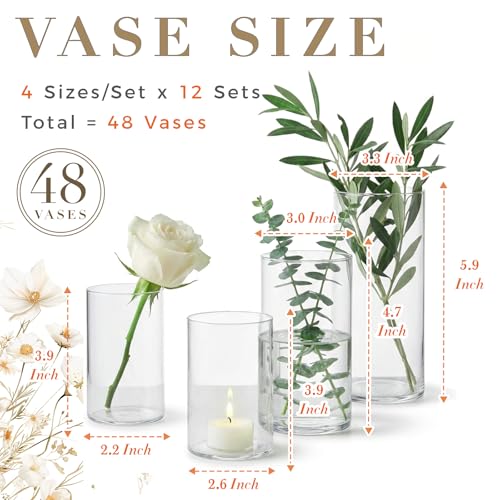 48pcs Glass Cylinder Vases Set - 4, 5, 6 Inch Clear Flower & Candle Holders with Variation 4+4+5+6 Inch
