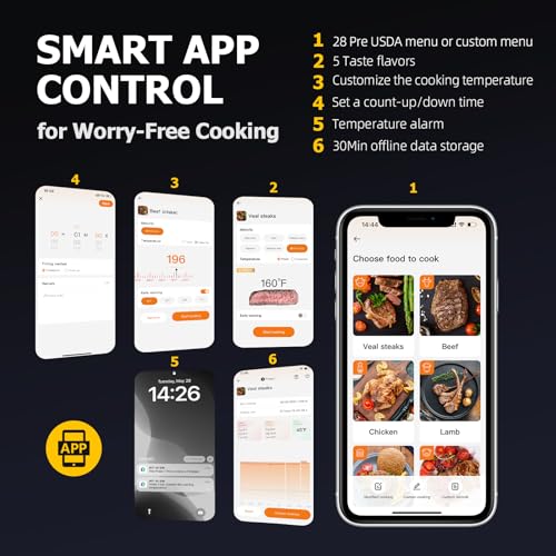 Wireless Meat Thermometer with App Control & 4 Probes for Grill Oven BBQ