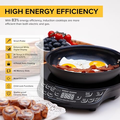 Induction Cooktop with Precise Temperature Control and Probe - Portable Electric Burner