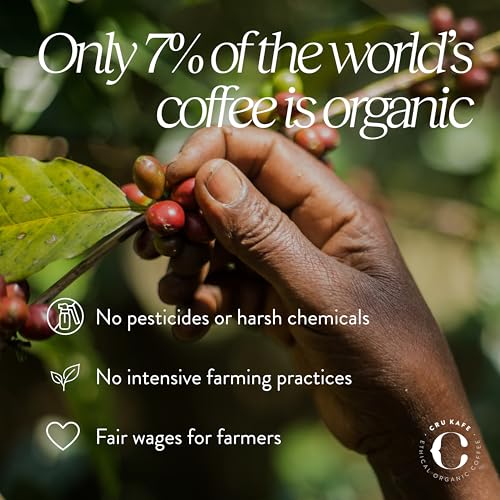 Cru Kafe Decaf Organic Espresso Pods Pack of 50 for Nespresso Original Line