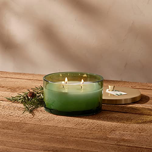 Frasier Fir Scented Candle - 21 oz Green Heritage Holiday Candle with 4 Wicks